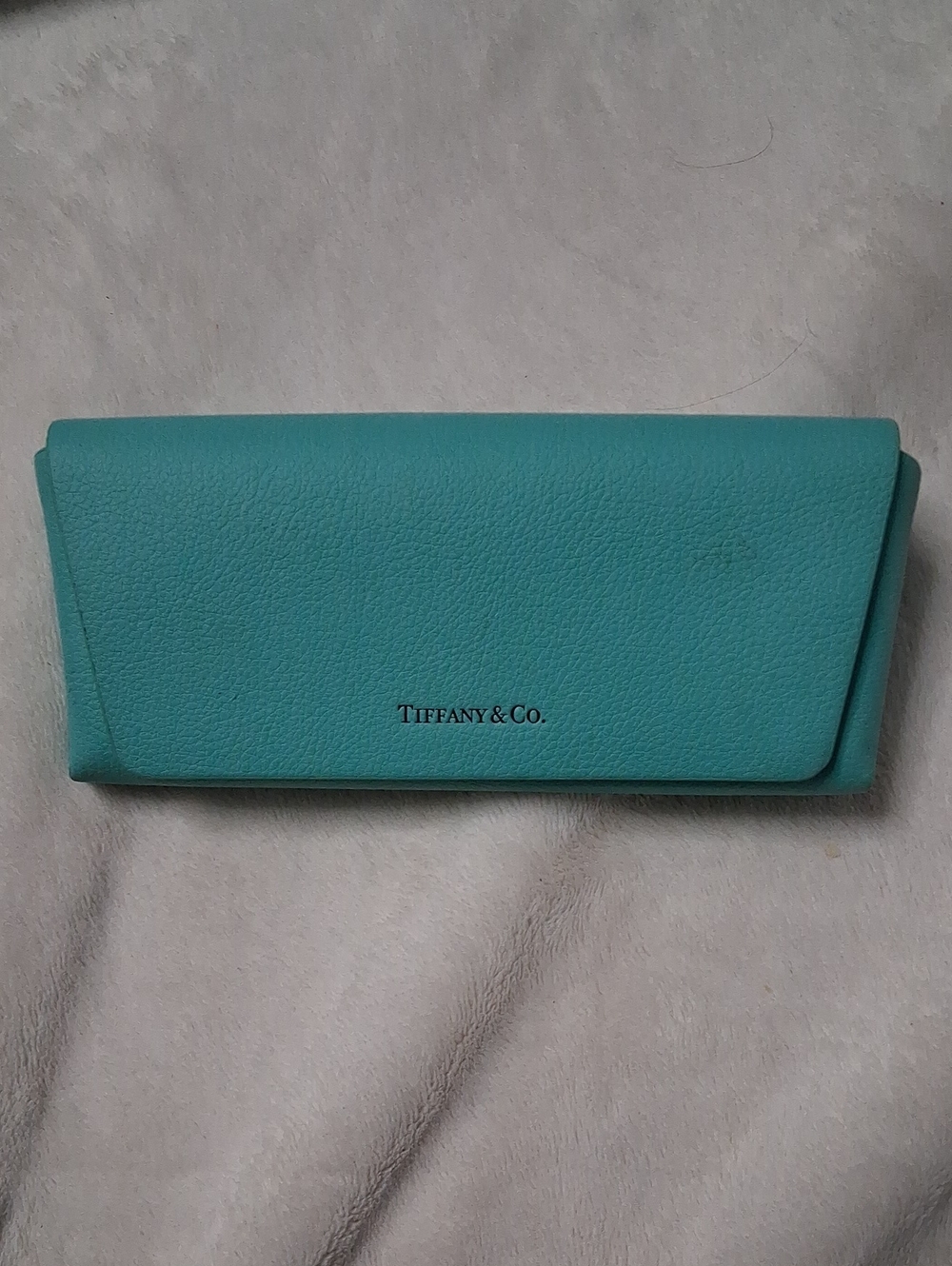 Tiffany & Co. Robin's Egg Blue Leather Sunglasses Case
